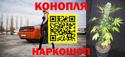 прущие грибы Пугачёв