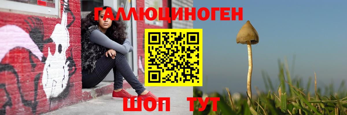 Северск  Псилоцибиновые грибы MAGIC MUSHROOMS  Вход с VPN  Псилоцибиновые грибы Psilocybine cubensis 