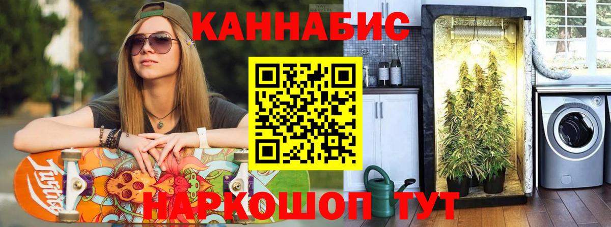 Канабис SATIVA & INDICA Северск